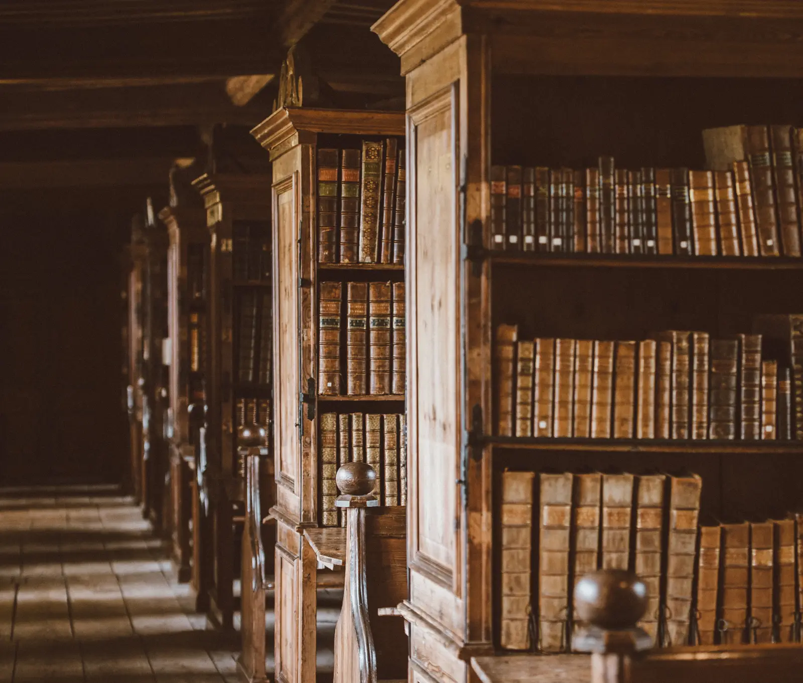 Leather-bound volumes on the shelves of a quiet private library